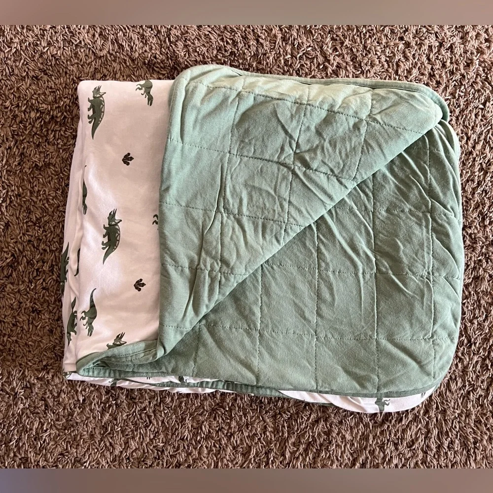 Kyte baby toddler OG Dino blanket - Picture 2 of 2